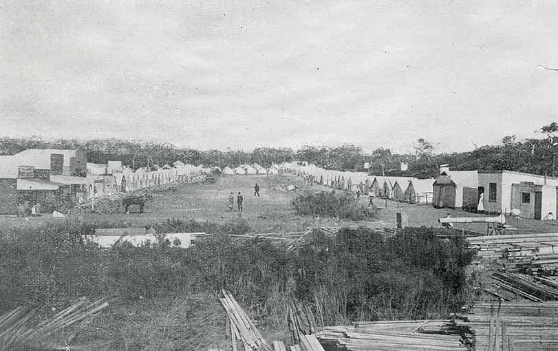 Paperbark town: Bourke Street, Wonthaggi, 1912. Note the thickets of paperbark on every side. Photo: Jaboor.
